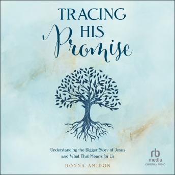 Tracing His Promise: Understanding the Bigger Story of Jesus and What That Means for Us