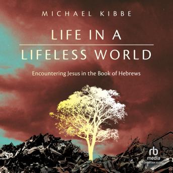 Life in a Lifeless World: Encountering Jesus in the Book of Hebrews