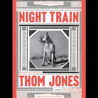 Night Train: New and Selected Stories