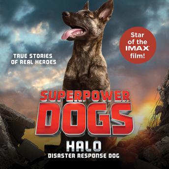 Superpower Dogs: Halo: Disaster Response Dog