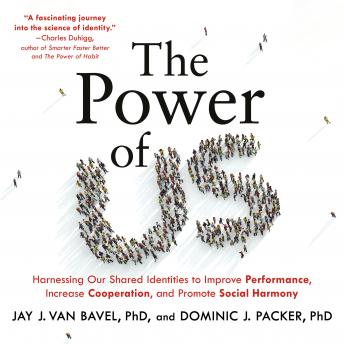 Power of Us: Harnessing Our Shared Identities to Improve Performance, Increase Cooperation, and Promote Social Harmony sample.