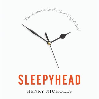 Sleepyhead: The Neuroscience of a Good Night's Rest