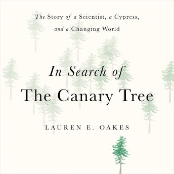In Search of the Canary Tree: The Story of a Scientist, a Cypress, and a Changing World