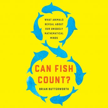 Can Fish Count?: What Animals Reveal About Our Uniquely Mathematical Minds
