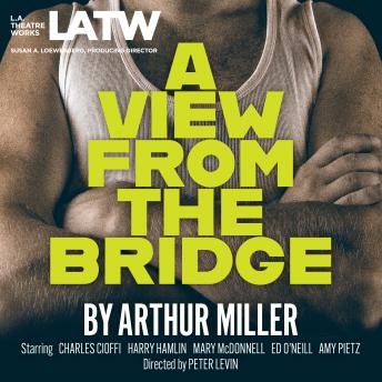 a view from the bridge arthur miller summary