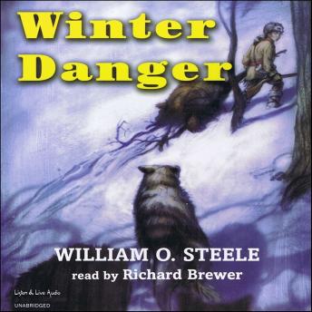 Download Winter Danger by William O. Steele