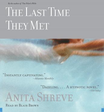Last Time They Met, Anita Shreve