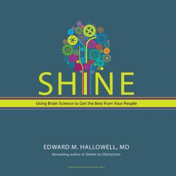 Shine: Using Brain Science to Get the Best From Your People sample.