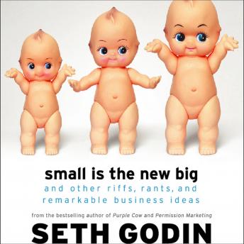 Small Is the New Big: And Other Riffs, Rants, and Remarkable Business Ideas, Audio book by Seth Godin