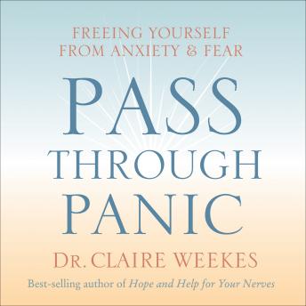 Pass Through Panic: Freeing Yourself from Anxiety and Fear sample.
