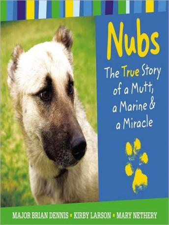 Download Nubs: The True Story of a Mutt, a Marine & a Miracle: The True Story of a Mutt, a Marine & a Miracle by Kirby Larson, Mary Nethery, Brian Dennis