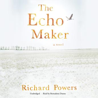 Echo Maker, Audio book by Richard Powers