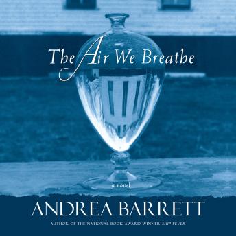 Air We Breathe: A Novel, Andrea Barrett