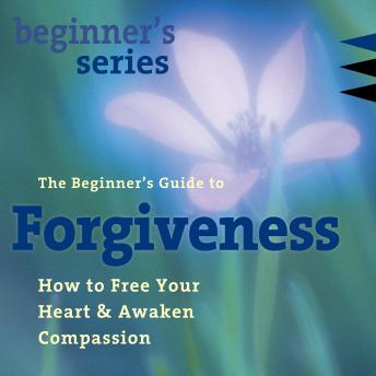 The Beginner’s Guide to Forgiveness: How to Free Your Heart and Awaken Compassion
