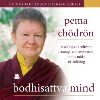 Bodhisattva Mind: Teachings to Cultivate Courage and Awareness in the Midst of Suffering
