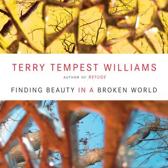 Finding Beauty in a Broken World