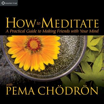 How to Meditate with Pema Chödrön: A Practical Guide to Making Friends with Your Mind