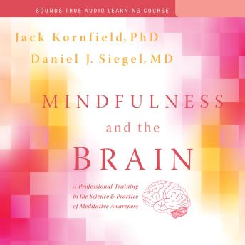 Mindfulness and the Brain: A Professional Training in the Science and Practice of Meditative Awareness