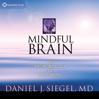 The Mindful Brain: The Neurobiology of Well-Being