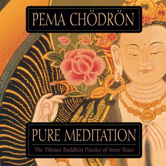Pure Meditation: The Tibetan Buddhist Practice of Inner Peace