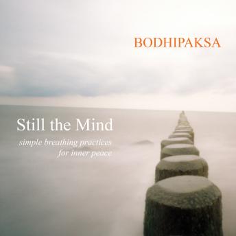 Still the Mind: Simple Breathing Practices for Inner Peace