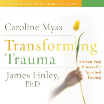 Transforming Trauma: A Seven-Step Process for Spiritual Healing