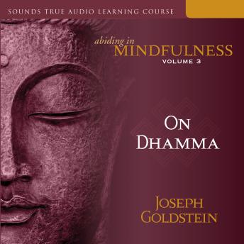 Abiding in Mindfulness, Volume 3: On Dhamma