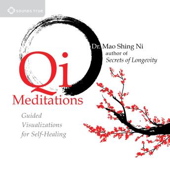 Qi Meditations: Guided Visualizations for Self-Healing