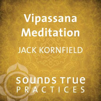 Vipassana Meditation: Mindfulness and Lovingkindness