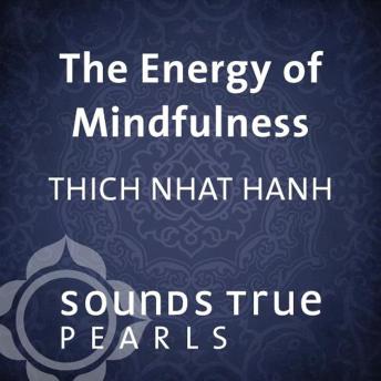 The Energy of Mindfulness: Entering the Heart of Reality