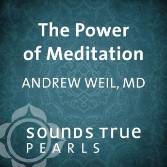 The Power of Meditation: Using Concentration and Relaxation to Improve Your Health and Well-Being
