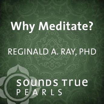 Why Meditate?: The Importance of Meditation in the Modern World