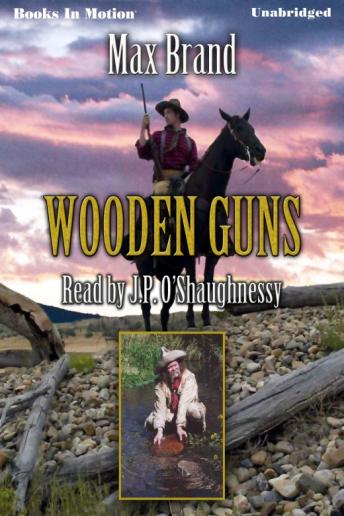 Wooden Guns