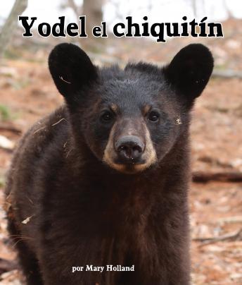 [Spanish] - Yodel, el chiquitín