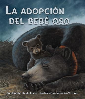 [Spanish] - La adopción del bebé oso