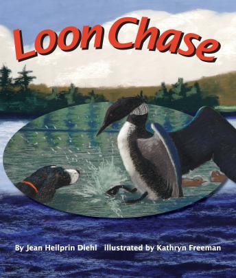 Loon Chase, Audio book by Jean Heilprin Diehl