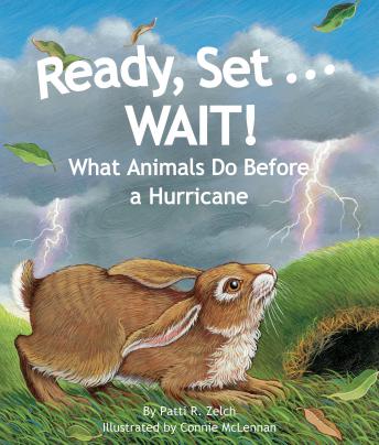 Ready, Set . . . WAIT! What Animals Do Before a Hurricane