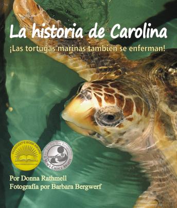 La historia de Carolina: ¡las tortugas marinas tambien se enferman!