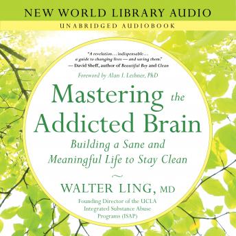 Mastering the Addicted Brain: Building a Sane and Meaningful Life to Stay Clean, Walter Ling