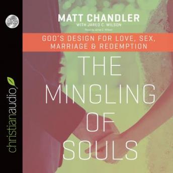 The Mingling of Souls audiobook