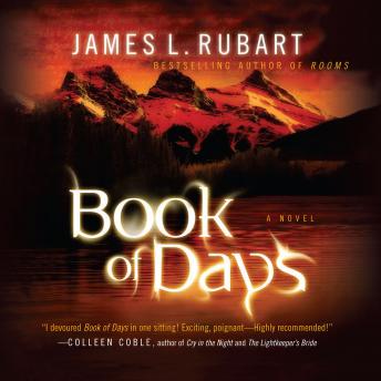 Book of Days: A Novel