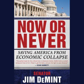Now or Never: Saving America from Economic Collapse