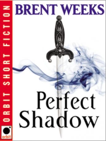 Perfect Shadow by Brent Weeks audiobooks free android tablet | fiction and literature