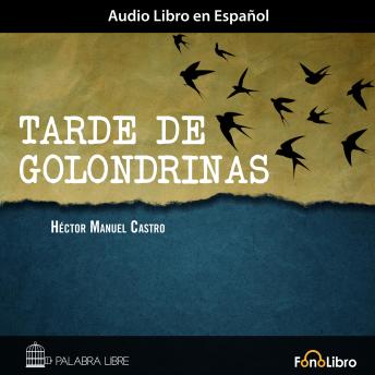 [Spanish] - Tarde de Golondrinas