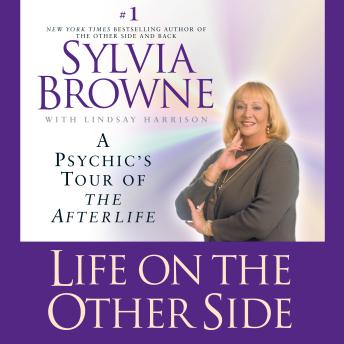 Life on the Other Side: A Psychic's Tour of the Afterlife