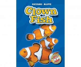 Clownfish