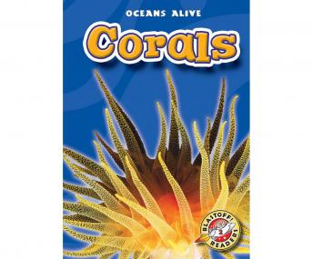 Corals