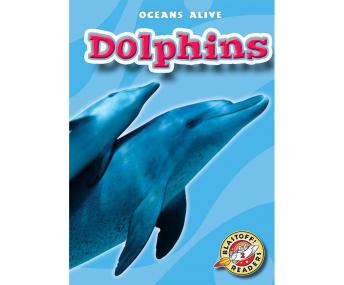 Dolphins