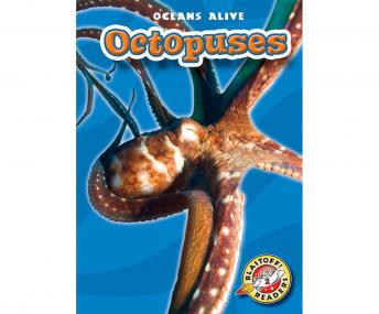 Octopuses