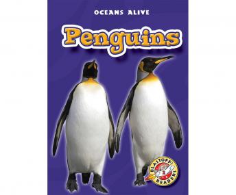 Penguins